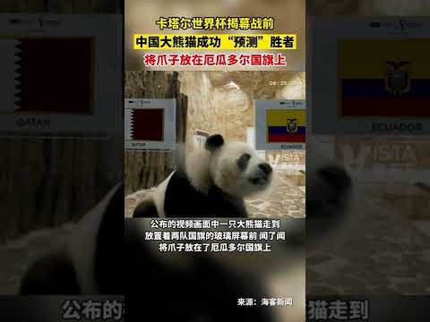 津門虎,賽季成全聯,盟唯一主场,贪玩娱乐,贪玩娱乐官网,H5贪玩娱乐官网,贪玩娱乐官网玩家首选