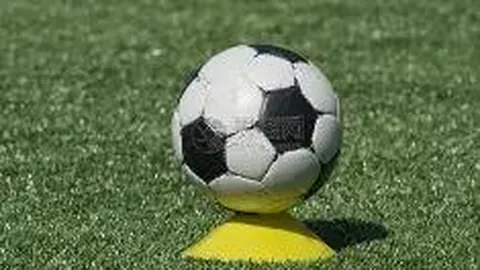 晓明哥表态：直言直语，评论区的大门永远敞开！