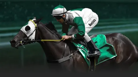 “克莱因丁斯特客场惊艳，荣膺胜利者无疑”