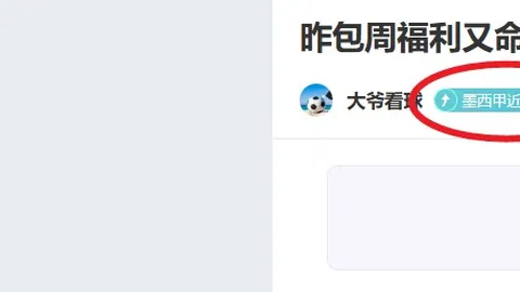 英格兰球员电讯报评分：本怀特等四人最低4分